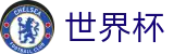 2026世界杯竞猜平台(FIFA World Cup)中文官方网站